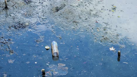 aerial view of polluted water in phuket, thailand, showing floating plastic bottles and debris under natural lighting