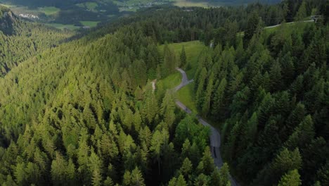 beautiful panorama of the alps in austria