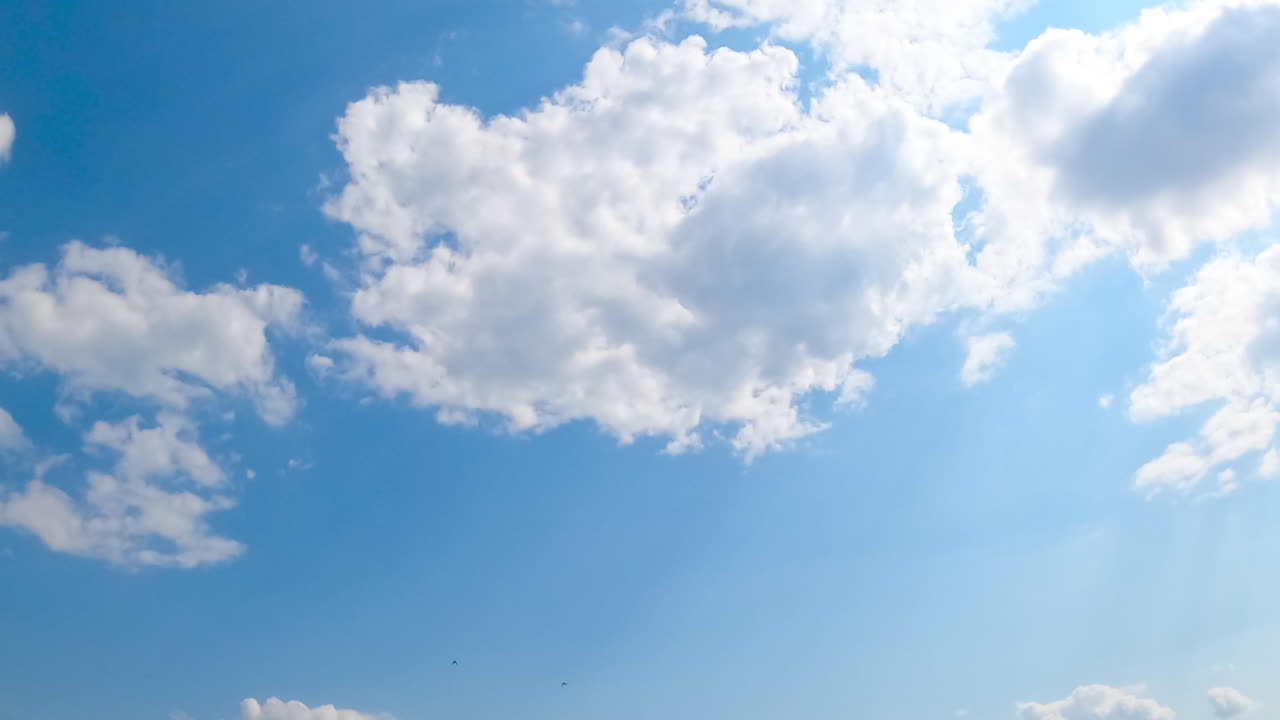 Quickly transforming white cloudscape in blue sky. Bright summer day with little clouds. Low angle view. Timelapse.