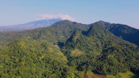 aerial view of green forest on the hill and valley in the beautiful morning