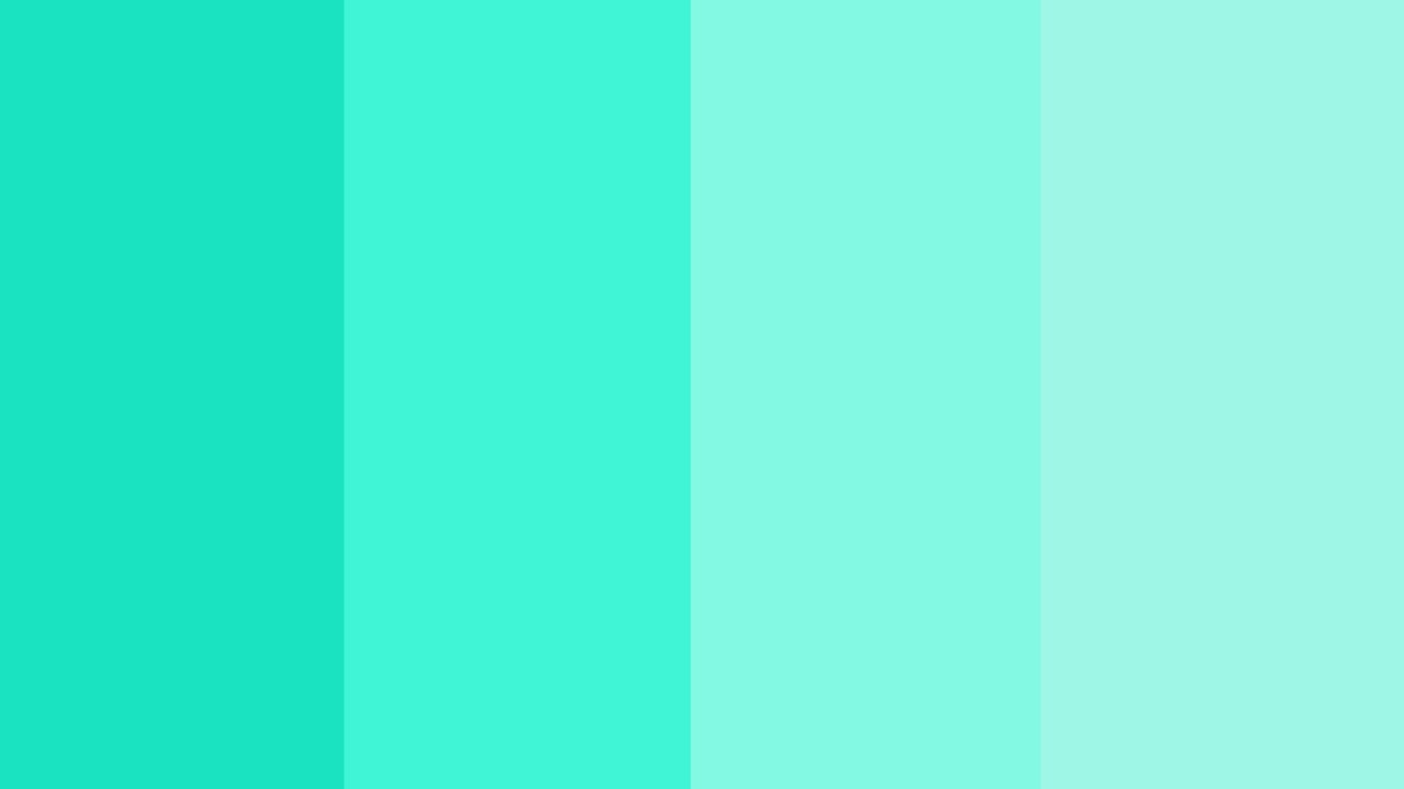 Full Transitions 26