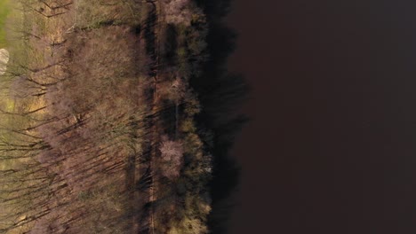 vista aérea de drones a vista de pájaro del lago embalse a lo largo del área del bosque otoñal en la campiña inglesa