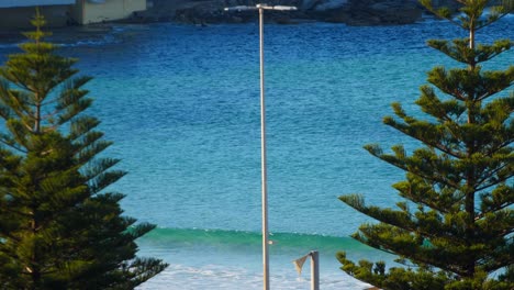 Aerial-view-from-behind-trees-of-a-peaceful-calm-dark-blue-sea-water-surface