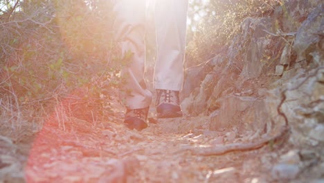 senior man hiking in the forest on a sunny day 4k