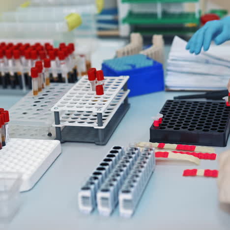 professional laboratory workers pouring blood samples into vials on the table. medical laboratory technicians making blood experiments in research clinic.