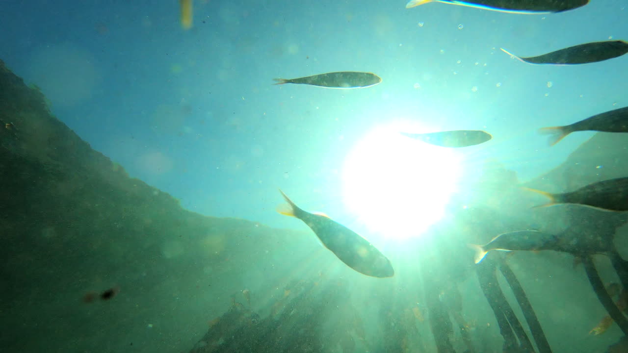 What's beneath the surface?