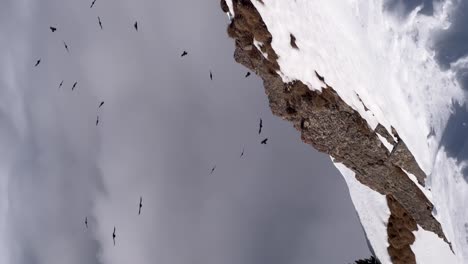 Imágenes-Verticales-De-Pájaros-Negros-Dando-Vueltas-Bajo-Un-Espectacular-Cielo-Invernal-Sobre-Las-Montañas-Seceda-Cubiertas-De-Nieve-En-Los-Dolomitas-Cerca-De-Ortisei