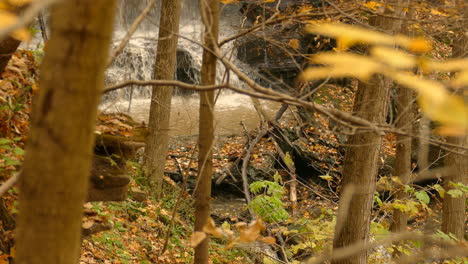 Waterfall-view-of-through-autumnal-forest-branches-with-orange-leaves-falling-down