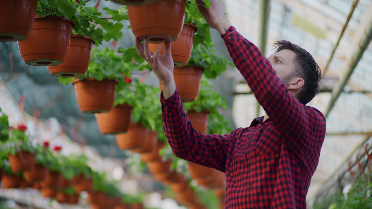 Farmer Inspecting Ornamental Plants in Greenhouse