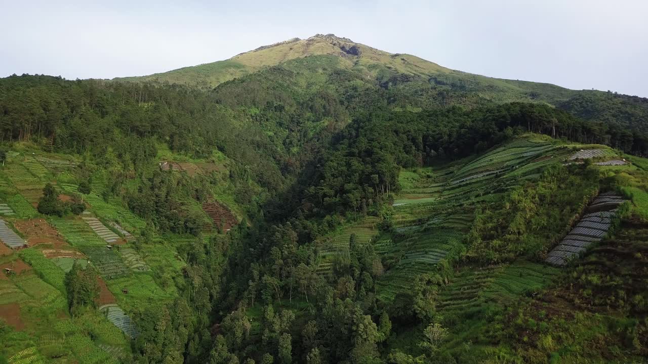 tiro de dron de montaña tropical con hermosa plantación en la ladera - montaña sumbing, indonesia