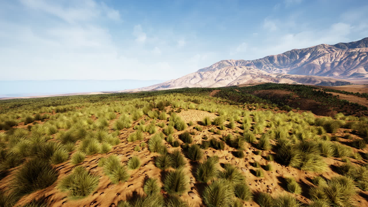 앞면에 잔디와 언덕이 있는 산맥의 넓은