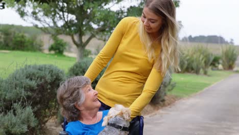 mujer mayor y una chica joven divirtiéndose con su perro 4k