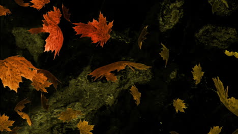 animación de hojas de otoño sobre formas en movimiento sobre fondo negro