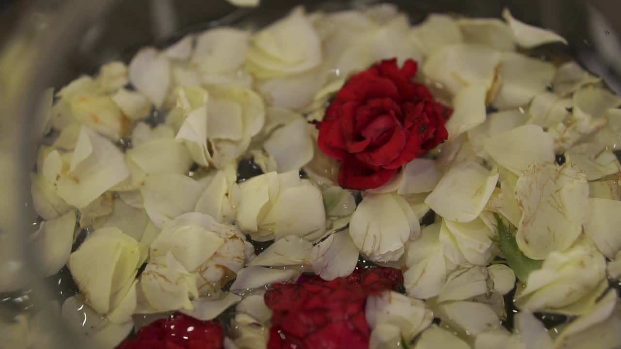 Petali di rosa rossi e bianchi che galleggiano in una ciotola