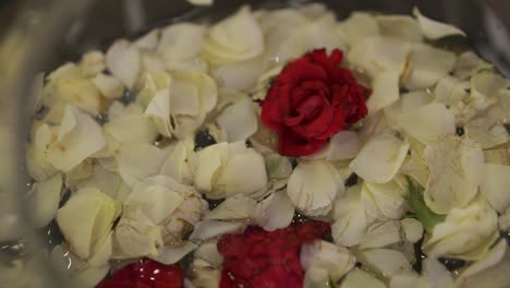 Red-White-Rose-Petals-Floating-In-Bowl