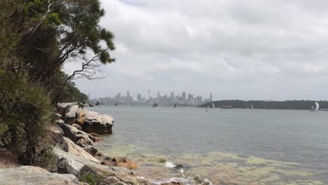 tiro hacia sydney cbd tomado del punto de vidrio y botella