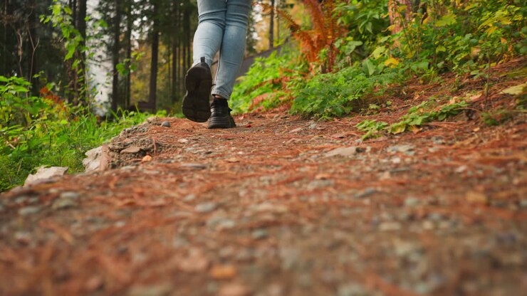 Woman walking along path in forest. Walk in sunny weather past coniferous trees on territory of glamping resort. Calmness and peace with nature