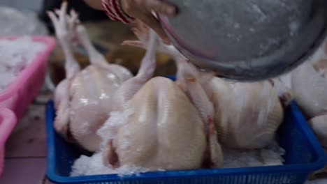 fresh chicken at a market