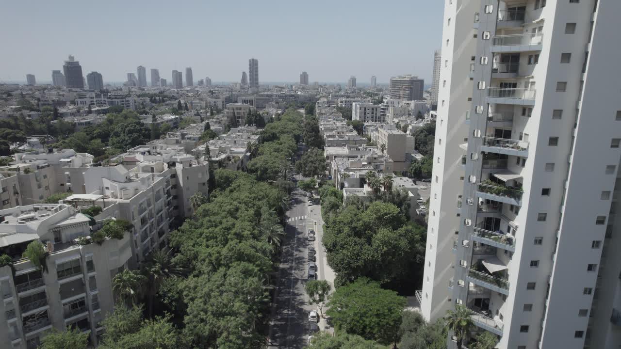 King David Boulevard Tel Aviv, fyldt med træer langs siderne, der skaber skygge fra den intense varme for fodgængere – byens tårne og Middelhavet i baggrunden