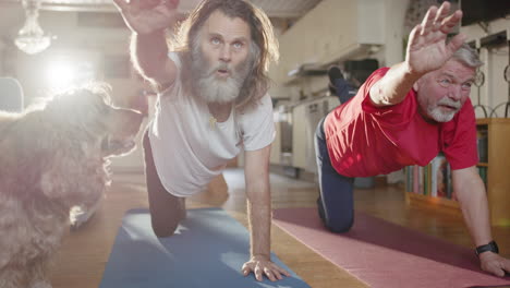 two senior men doing bird dog yoga exercises interfered with by cute pet dog