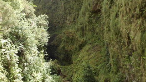 Tiro-Con-Drones-Levadas-Madeira-Portugal