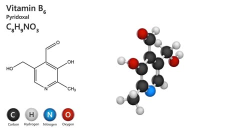 vitamin b6 (pyridoxal phosphate). seamless loop.