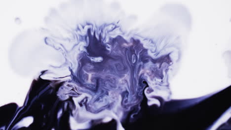 video en cámara lenta de tinta de acuarela púrpura mezclándose en agua contra un fondo gris