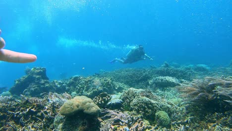 scuba diver enganchado a la roca con un gancho de arrecife en una corriente oceánica muy fuerte