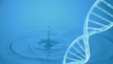 dna strand animation over water ripple effect on blue background