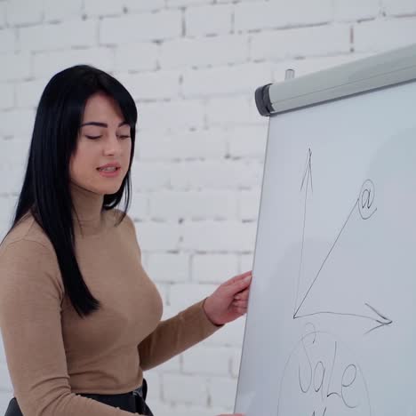 . businesswoman working with board. young beautiful businesswoman with marker writing on whiteboard