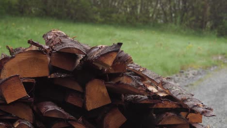 Stacked Firewood In The Yard. closeup