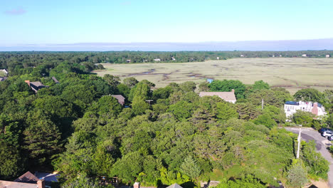 Cape-Cod-Luftaufnahmen-Von-Drohnen-Von-Sumpf-Und-Häusern-Im-Wald,-Umgeben-Von-Bäumen