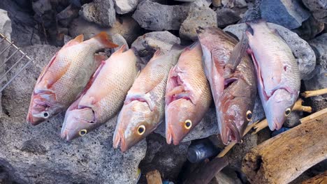 las manos del hombre ordenan atrapar peces mero en las piedras listos para cocinar en la playa parrilla, acampar