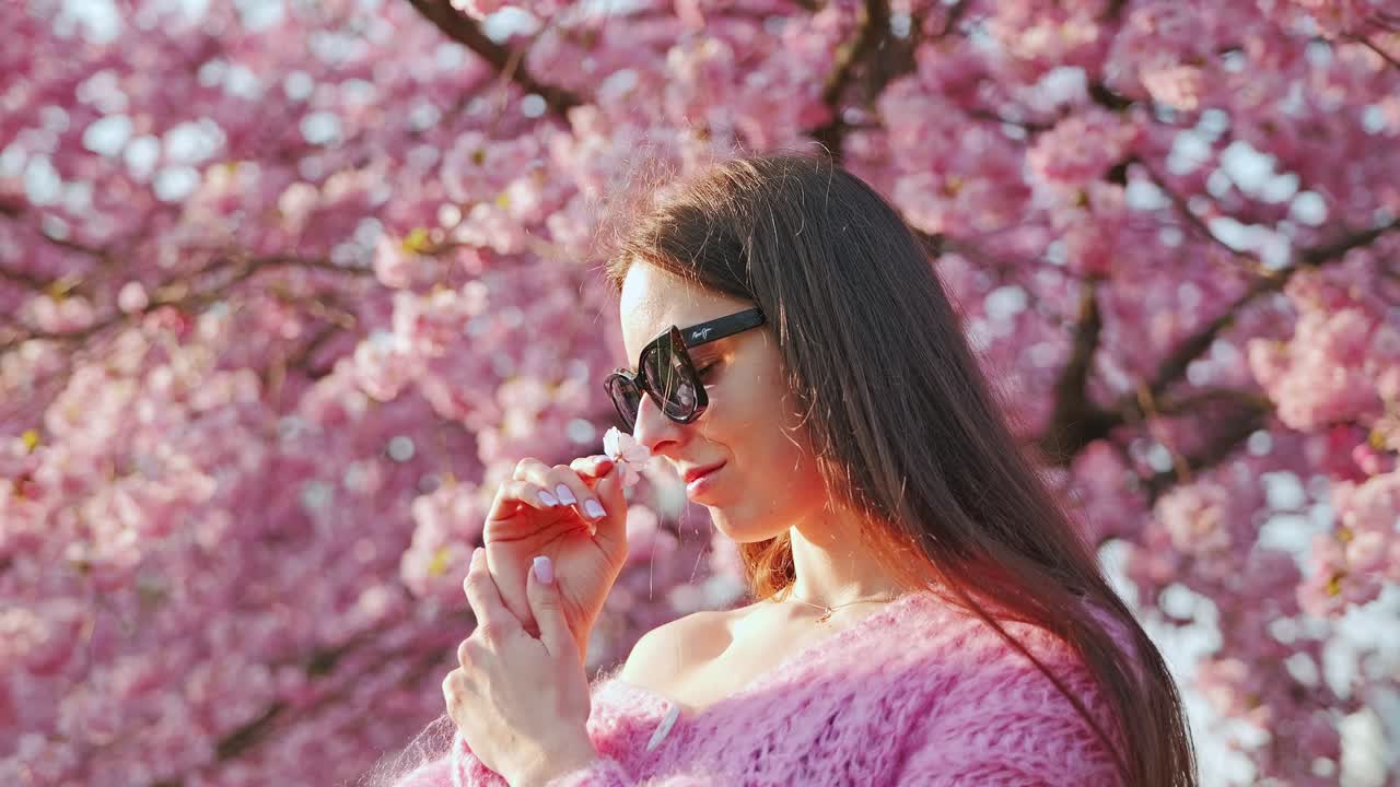 Close-up, woman savoring cherry blossom scent under sakura trees in spring light