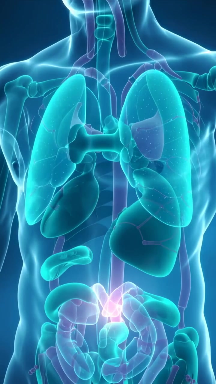 Vertical video: Camera shifting upward emphasizing torso lungs and pulsing sternum in medical view