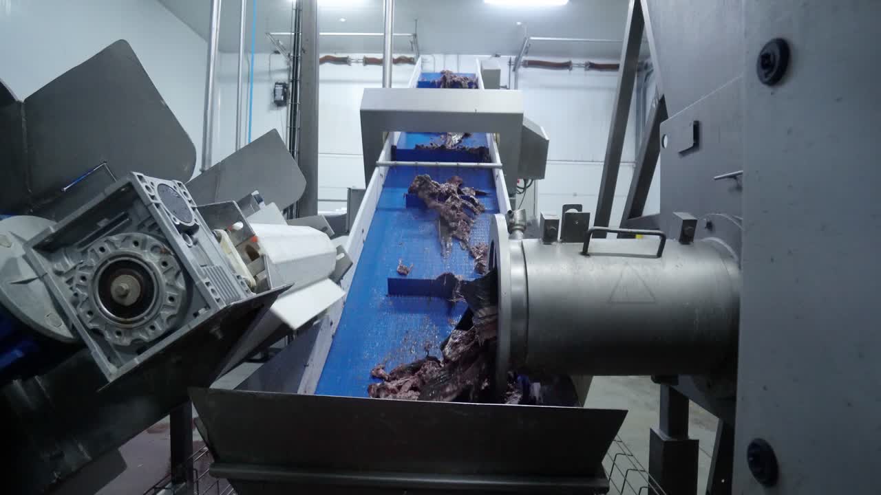 industria pesquera: un selector automatizado de filetes de pescado para partes de mariscos