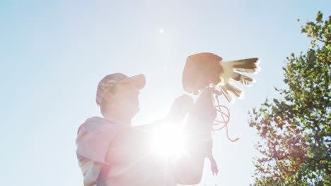 falcon eagle perching on mans hand