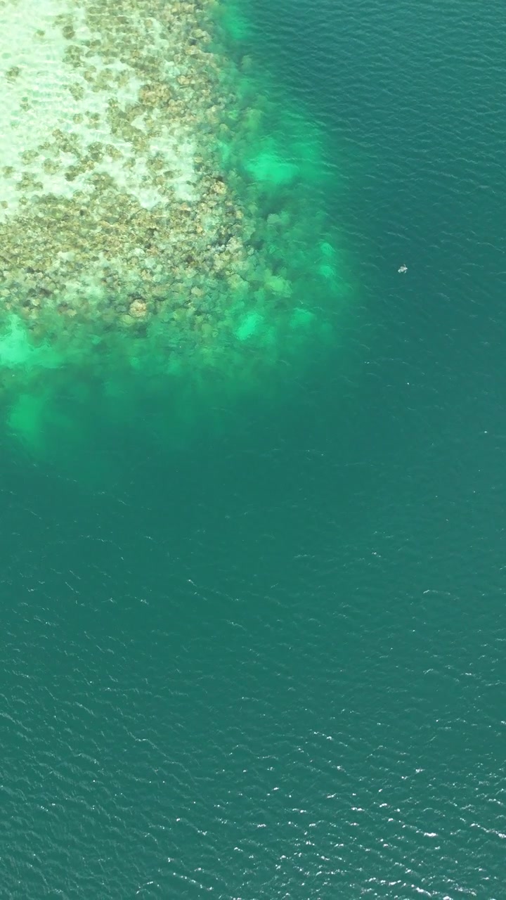Una ripresa aerea con drone cattura acqua turchese vibrante e barriere coralline in una laguna tropicale.