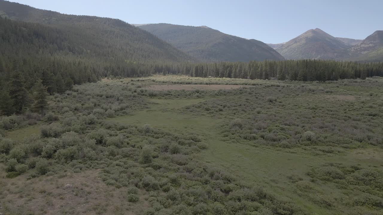 Aerial view of a high mountain meadow and forest with distant mountain peaks at the head. Filmed near Guanella Pass, Colorado. Panning and dolly movement with the drone flying forward and left.