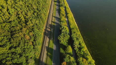 Aerial-cinematic-top-down-road-near-bay-and-green-forest-with-tall-trees,-Poland-4k