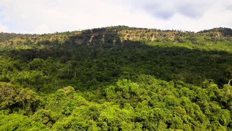 Dron-4k-Hdr-Volando-Sobre-Las-Copas-De-Los-árboles-De-Los-Bosques-Verdes-Exuberantes-En-Tailandia-Tropical