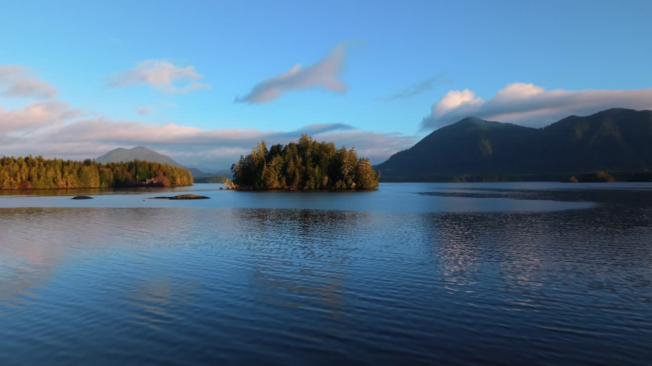 tomada de drone de tofino en la isla de vancouver que muestra colores de otoño, costa escarpada y olas del océano en una vista aérea panorámica.