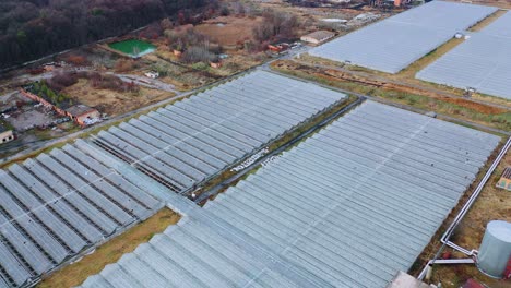 drone flies above the big glass industrial greenhouses. indoor farming, heat recovery and organic plant protection concept