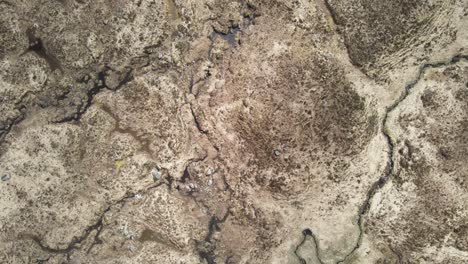 vista desde el centro de un suelo rocoso seco irregular con grietas fascinantes