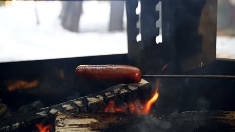 Asar-Dos-Perritos-Calientes-En-Una-Fogata