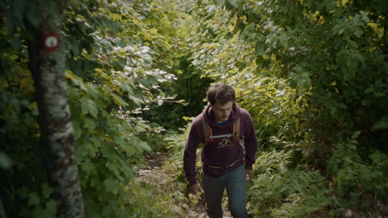 un joven excursionista subiendo por un estrecho sendero forestal, pasando por la marca knafelc de senderos de montaña hacia el mirador