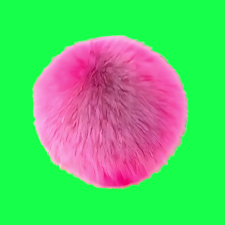 Pink Fluffy Pom Pom Bouncing on Green Screen