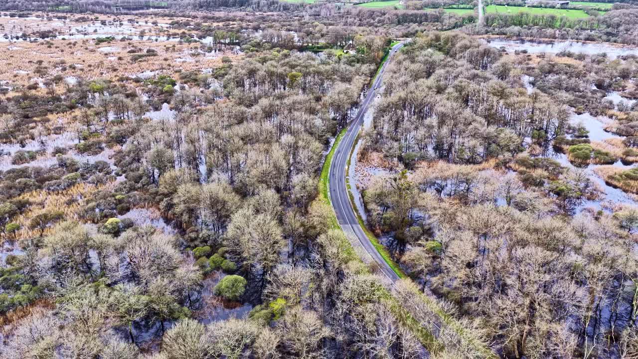 Vista aérea de uma estrada nas zonas úmidas do Parque Natural Regional de Brière, França.