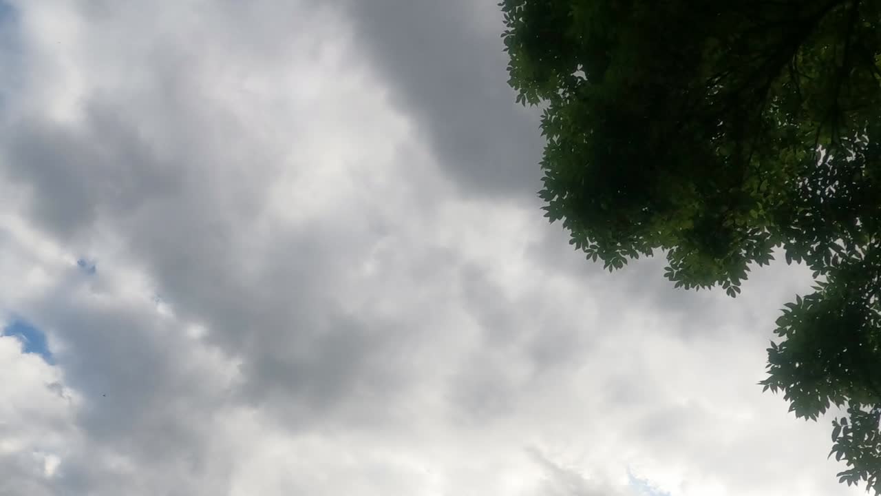 - 1920x1080 해상도