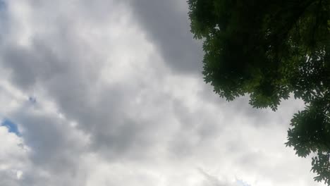 - 1920x1080 resolución